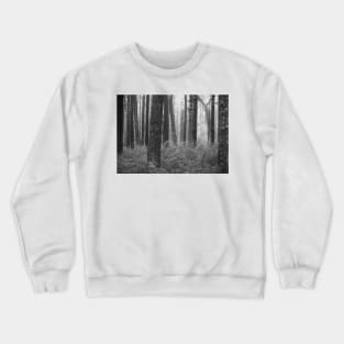 black and white forest with trees in fog Crewneck Sweatshirt